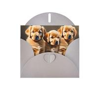 Gray MJHKXLJ Carte de vœux nacrée avec imprimé chiots Golden Retriever - Enveloppe incluse - Parfait pour Noël, anniversaires, Saint-Valentin, mariages, et plus encore