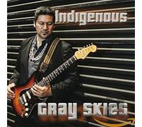 Gray Skies by INDIGENOUS [Audio CD] NEUF