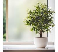 Graz Design Film statique autocollant pour fenêtre 90 x 200 cm