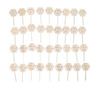 GRCFUMO 36 PCS me regardent des étiquettes succulentes, toutes choses poussent, des étiquettes succulentes hexagonales en bois sûr pour une plante de décoration de pot de fleurs