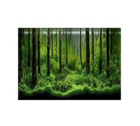 Grcfumo PVC Adhesive Underwater Forest Tank Background Poster, Colorful Forest Tank Aquarium Poster, Thickened Fish Bowl Poster Backdrop Decoration for Decorate (91 * 50cm)