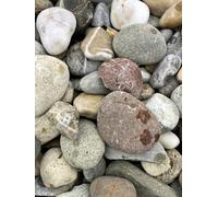 GRDplanten Vier décoratif - Vier de Toit - Galets de Rhin 16/32 mm - Sac de 25 kg