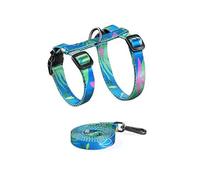 Greabuy Ensemble de matériel de marche pour chat fin et ventilé 50 g - Corde réfléchissante - Clip sécurisé pour adultes - Modifiable - Utilise du ruban de conjuration