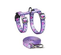 Greabuy Ensemble de matériel de marche pour chat fin et ventilé 50 g - Corde réfléchissante - Clip sécurisé pour adultes - Modifiable - Utilise du ruban de conjuration