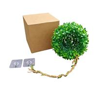 Greabuy Hideaway Boule d'herbe à suspendre pour reptiles et habitats sur le thème de la jungle Aquarium Terrarium Paysage Accessoire Plante Artificielle pour Vivarium