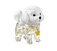 Greabuy Porte-clés de rangement pour poils d'animaux de compagnie - Boîte de rangement pour poils de chien - Porte-breloques