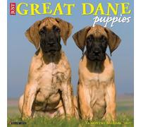 Willow Creek Press, Calendrier mural 2027 Dogue Allemand Chiots
