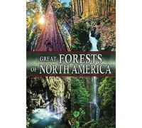 Great Forests Of North America