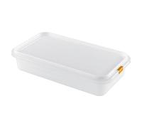 Great Plastic Récipient Alimentaire rectangulaire en Plastique 1/3 Gastronorm Micro 325 x 176 x 65 mm 2,8 l Multicolore Taille Unique