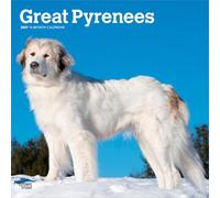 Great Pyrenees 2027 12 X 24 Inch (Hanging) Monthly Square Wall Calendar Plastic-Free