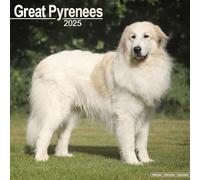 Great Pyrenees Calendar 2025 Square Dog Breed Wall Calendar - 16 Month