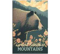 Great Smoky Mountains National Park Vintage Rétro Mur Art Toile Affiche Art Imprimer Chambre Décoration Accueil Décoration Sans cadre 30x45cm
