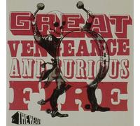 Great Vengeance and Furious Fire by HEAVY [Audio CD] NEUF