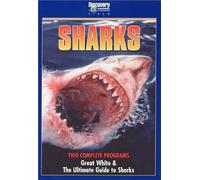 Great White/The Ultimate Guide To Sharks