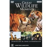 Great Wildlife Moments [Import allemand]