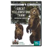 Great Yellowstone Thaw: How Nature Survives [Dvd]