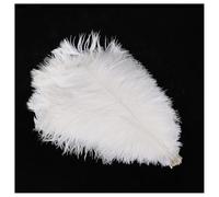 GreatRise Lot de 10 plumes d'autruche naturelles blanches - Plumes décoratives pour le bricolage - Plumes douces - Plumes d'oiseaux - Pour mariage, Noël, fête, décoration de table - Accessoires DIY -