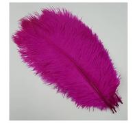 GreatRise Lot de 20 plumes d'autruche naturelles douces - 15-20 cm - Pour mariage, Halloween, décoration de table - Rouge rose