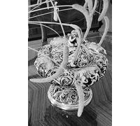 Greek Philosophy: Decoding the Identity of Human Society: A contemplative journey through the soul of society