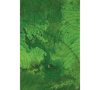 GREEN ABSTRACT TOPOGRAPHY: Grid Paper Stationery For Creative Mindset. Deep Emerald Artistic School Supplies