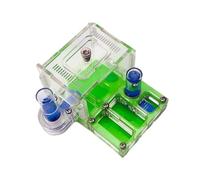 Green Acrylic Flat Panel Ant Farm - Ant Castle Nest with Hydrating Pool & Activity Area, Habitat for Live Ants Boîte à Fourmis