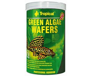 Green Algae WAFERS 1000ml / 450g - Nourriture avec spiruline, algues et Feuilles de ketapang pour mangeurs du Fond