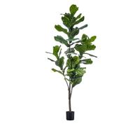 Green BoutiQ - kunstplant - Ficus Lyrata - Tabaksplant - 150cm - Vert - sans Entretien - Haute qualité