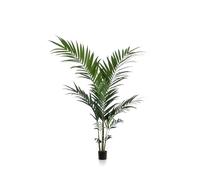 Green BoutiQ - Plante Artificielle - Kentia -Kentiapalm - 150cm - Vert - sans Entretien - Haute qualité