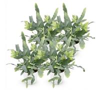 Green boutiQ - Plante d'intérieur - Phlebodium aureum Blue Star - Fougère Bleue - Plante Amie des Animaux - Bleu - 4 Plantes - avec Potter Blanc - Pot 12cm - Hauteur 25cm