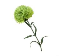 Green Carnation Fleur artificielle en plastique souple Décoration florale pour la maison et le jardin 55 x 5 x 5 cm Pour salon, chambre à coucher, bureau (vert)