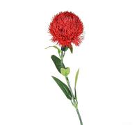 Green Carnation Fleur artificielle en plastique souple Décoration florale pour la maison et le jardin 55 x 5 x 5 cm Pour salon, chambre à coucher, bureau (rouge)