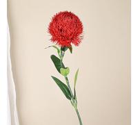 Green Carnation - Fleurs artificielles décoratives - Arrangement floral en soie en plastique souple pour la maison, le salon, le bureau - 55 x 5 x 5 cm - Ornement floral réaliste (vert)