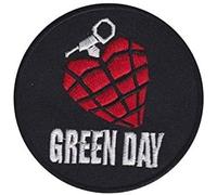 Green Day American Idiot Round Patch Brodé Iron on Applique Accessoire