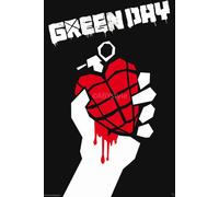 GREEN DAY - Poster Maxi 91,5x61 - Idiot américain