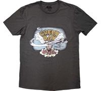 Green Day Tričko Dookie Vintage Uni Grey S