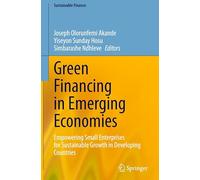 Green Financing in Emerging Economies: Empowering Small Enterprises for Sustainable Growth in Developing Countries