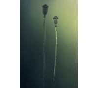 Green Fruit - 300 Jeux de Puzzles en Bois pour Toute la Famille : Une variété de Jeux de Puzzle pour développer Les compétences (14 Ans+)