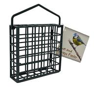 Green Jem Mangeoire à Oiseaux en Forme de Fruits Boules de Graisses/Friandises 14x4.5x19 cm Vert