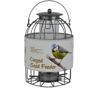 Green Jem Mangeoire à Oiseaux Sauvages en Forme de dôme, conçue pour Dissuader Les écureuils et également Les Grands Oiseaux de Jardin tels Que Les Pigeons et Les colombes. Argent