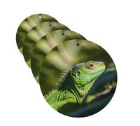 Green Lizard Lot de 4 cartes de désodorisants de voiture personnalisables, cadeaux pour homme et femme, tablettes d'aromathérapie à suspendre, cartes parfumées pour armoire de salle de bain
