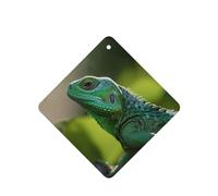 Green Lizard Lot de 4 désodorisants de voiture durables pour homme et femme - Tablettes d'aromathérapie à suspendre - Parfum lavande