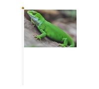 Green Lizard Lot de 6 et 10 drapeaux à main, bannières sur bâton, petits drapeaux pour défilés, fêtes, bars, anniversaires