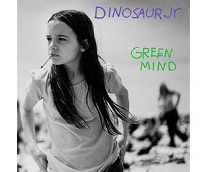 Green Mind Sleeve Vert