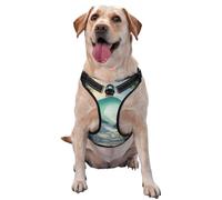 Green Ocean Harnais de qualité supérieure pour chiens de petite, moyenne et grande taille - Durable, ne tire pas avec sangles réfléchissantes et boucles à dégagement rapide Taille L
