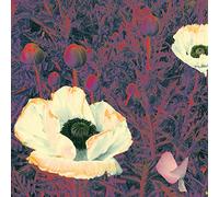 Green Pajamas - Sunlight Might Weigh Even More