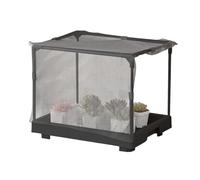 Green Plant Greenhouse, Compact & Portable, 34x26x29cm, Balcony Garden Greenhouse, Conservatoire de Culture de légumes, Environnement de Culture Optimal, pour Un Appartement d'arrière-Cour