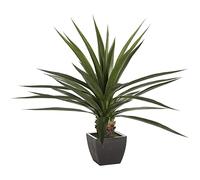 Green Potted Plant Height 130 - Natural Instinct