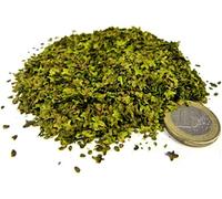 Green Stuff World: 1263 Leaf Litter - Spring Green