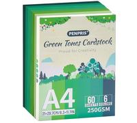 Green Tones PAC06MX3 Lot de 60 feuilles de papier cartonné épais de 6 couleurs format A4 250 g/m² pour imprimante, fabrication de cartes, loisirs créatifs, scrapbooking