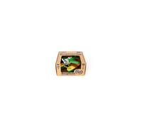 Green Toys Hydravion Plastique Recycle